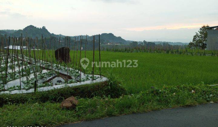 Dijual Sawah Pinggir Jalan Tawangmangu  1