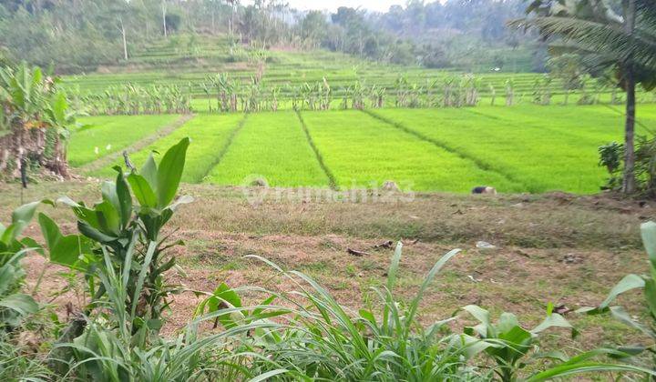 Tanah Sawah Dekat Ponpes Ngargoyoso  2