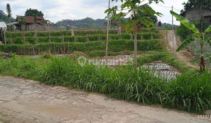 Sawah Dekat Wisata Karangpandan  1