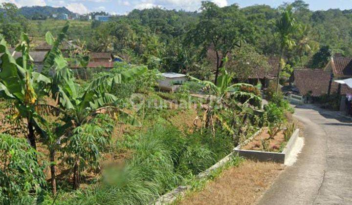 Sawah Dekat Jalan Besar Karangpandan  1