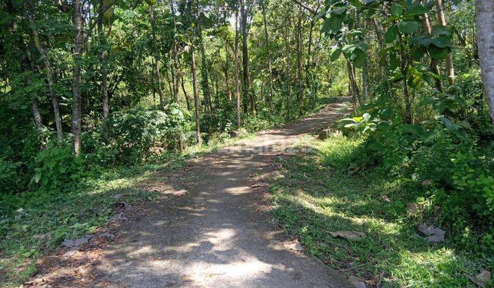  Rumah 2 Lantai Setengah Jadi Sukoharjo  2