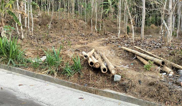 Tanah Pekarangan Barat Sma Karangpandan  2