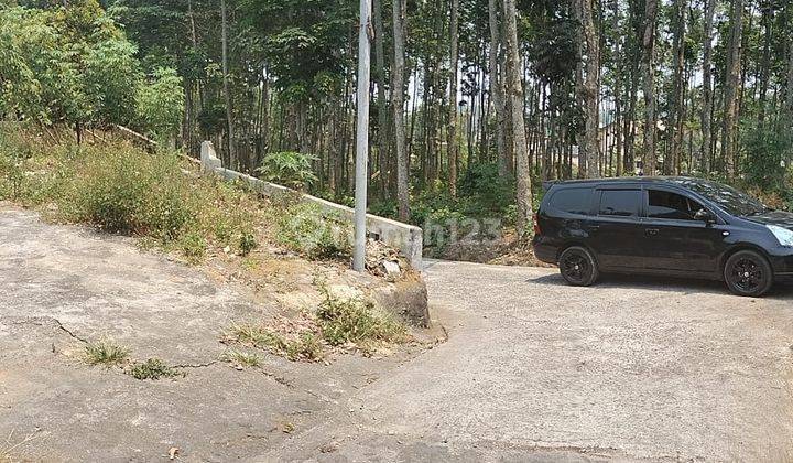 Pekarangan Dekat Wisata Kemuning  2