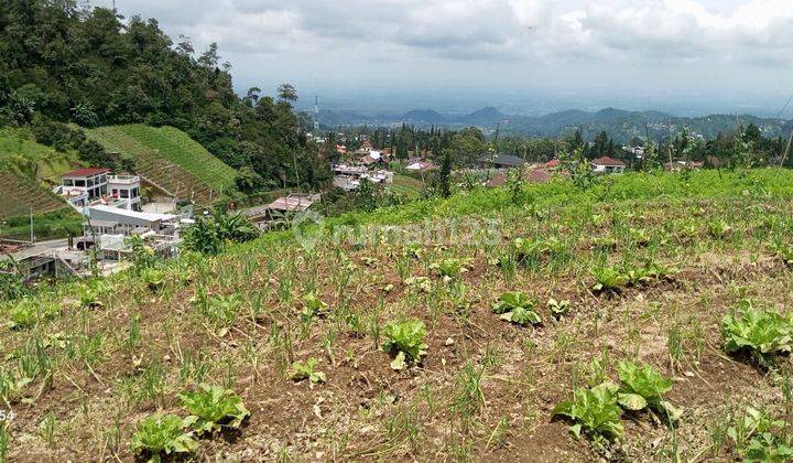 Tanah Tawangmangu Dekat Resto Lawu Kala Senja  1