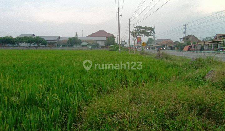 Tanah Pinggir Jalan Raya Sragen  1