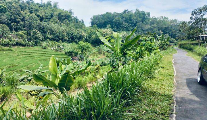 Pekarangan Dekat Fasum Karangpandan  2