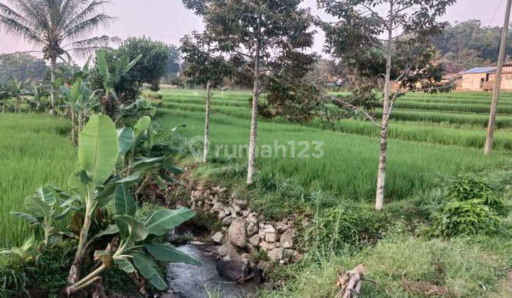 Sawah Akses Lebar Karangpandan  1