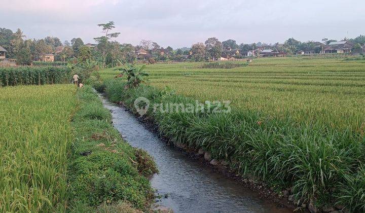 Sawah Akses Lebar Karangpandan  2