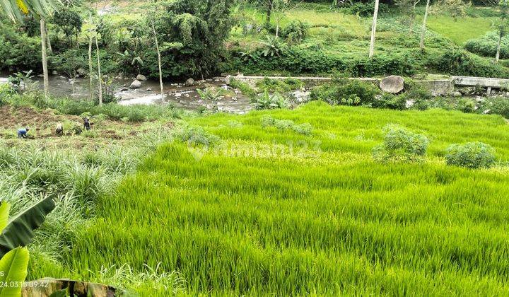 Sawah Matesih 600 Juta  1