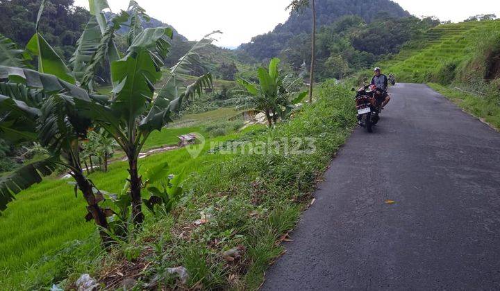 Sawah Matesih 600 Juta  2