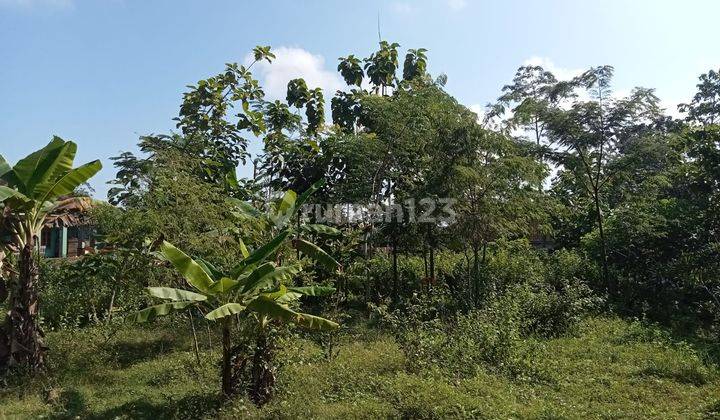  Tanah Pinggir Jalan Mojogedang 300 Juta 2