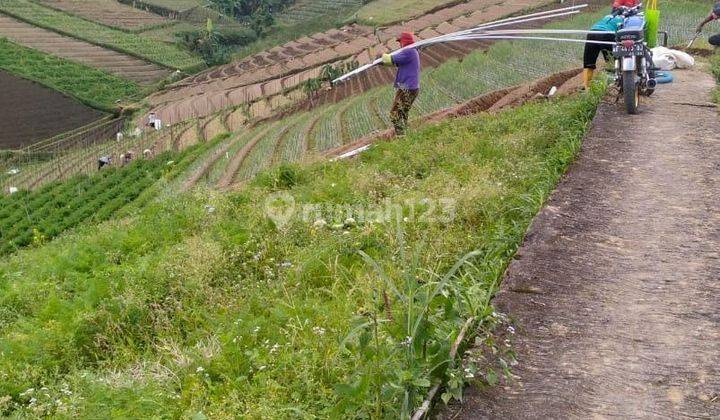  Pekarangan Murah Tawangmangu 150 Juta  2