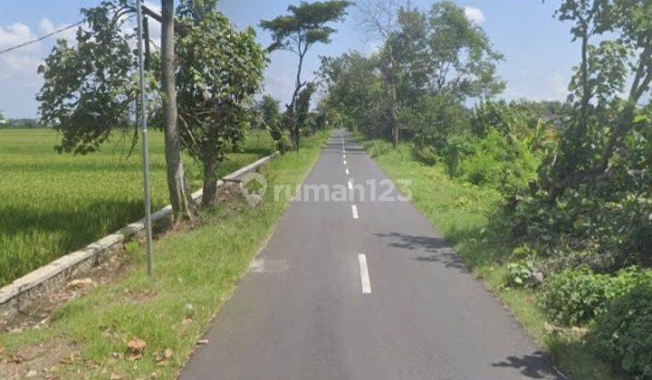 Sawah Basah Mangku Jalan Kebakkramat  2