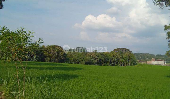 Sawah Akses Truk Kebakkramat  1