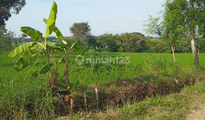 Sawah Akses Truk Kebakkramat  2