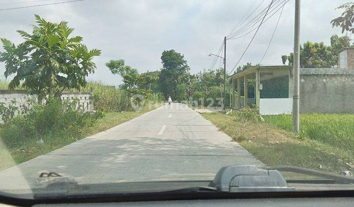 Sawah Basah Mangku Jalan Kebakkramat  2