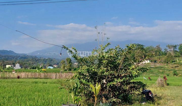 Tanah Pekarangan Dekat Fasum Karangpandan  1