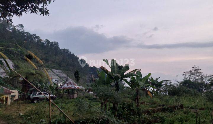 Pekarangan Dekat Candi Sukuh  1