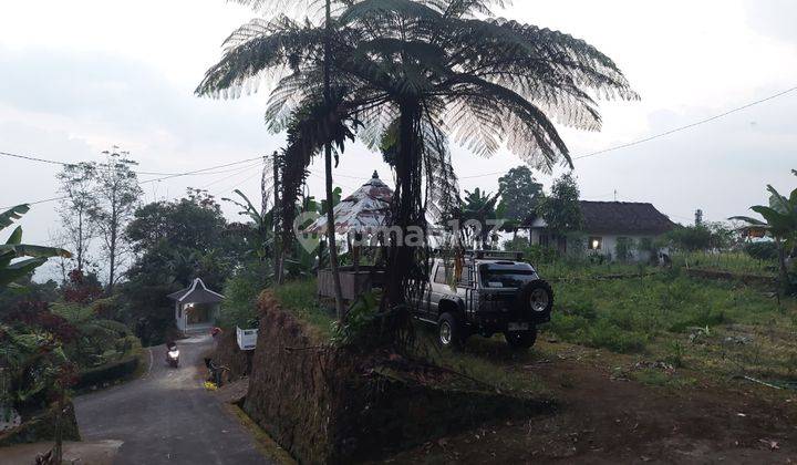 Pekarangan Dekat Candi Sukuh  2