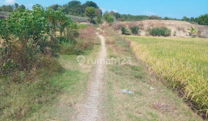 Sawah Kebakkramat 180 Juta  2