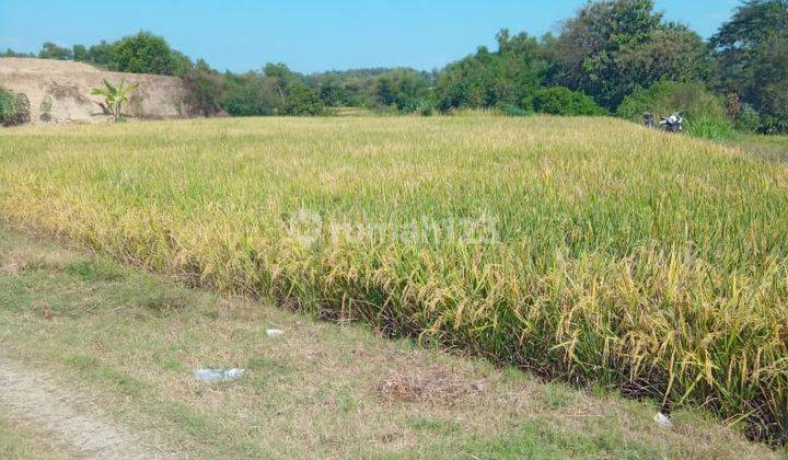 Sawah Kebakkramat 180 Juta  1