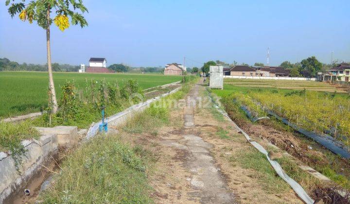 Sawah Panen 3 Kali Kebakkramat 400 Juta  2