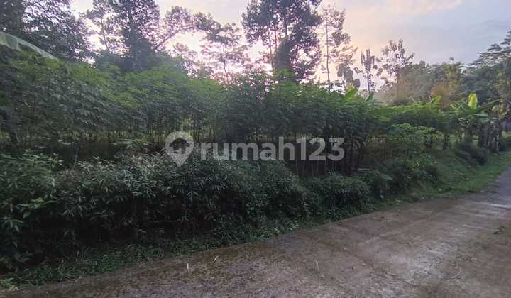 Cheap Land Tohkuning Karangpandan Cheap Land Tohkuning Karangpandan
