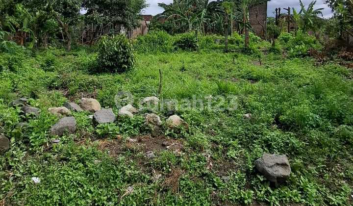 Pekarangan Trucuk Klaten 
