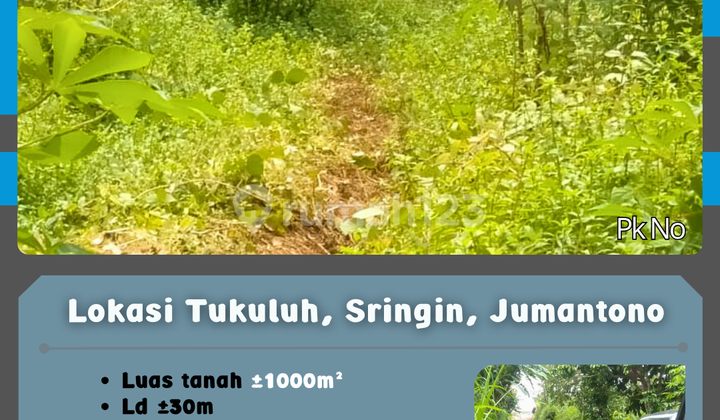 Kebun Murah Sringin Jumantono  1
