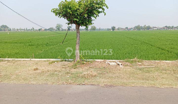 Tanah Sawah Panen 3x Kebakkramat  1