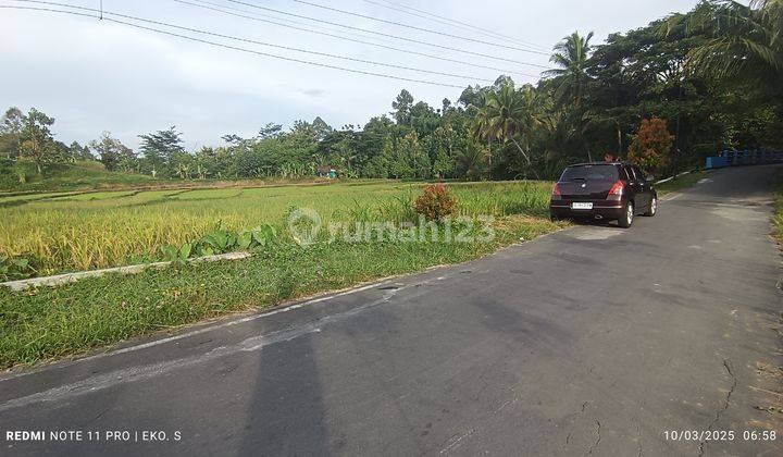 Tanah sawah dekat pasar Matesih  1