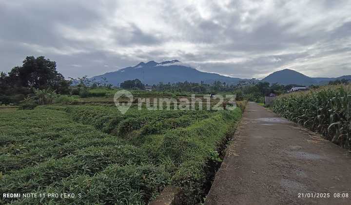 Karangpandan Yard Land 700 Million Karangpandan Yard Land 700 Million