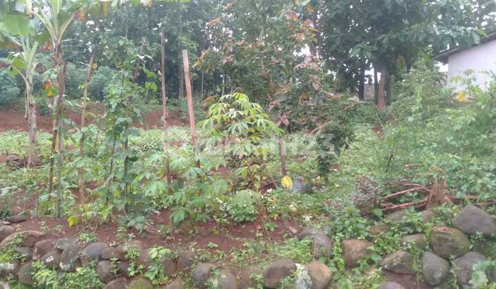 Tanah Pekarangan Murah Sringin Jumantono  2