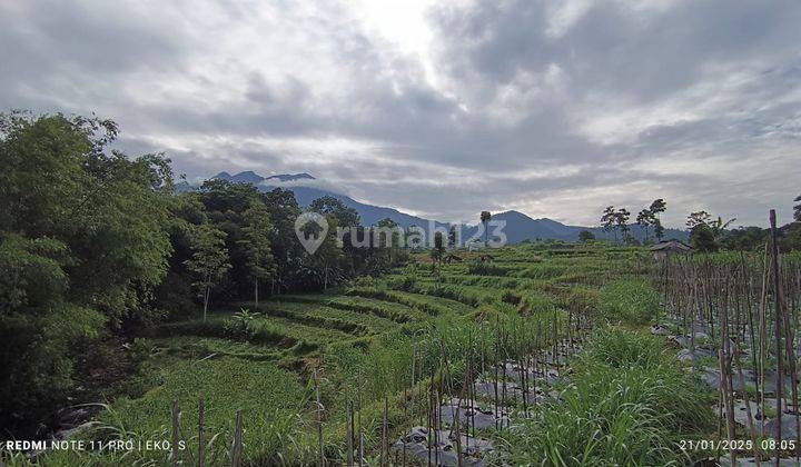 Sawah Dekat Sungai Karangpandan 450Jt  1