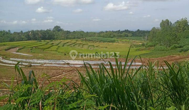 Tanah Sawah Karangpandan Barat 400 Juta  2