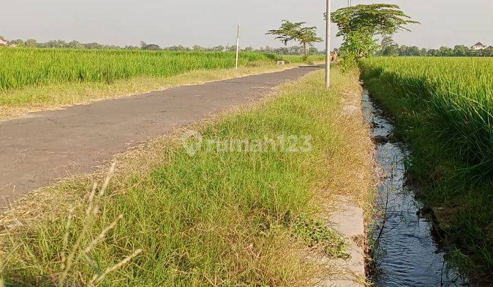  Tanah Sawah Samping Pabrik Kebakkramat  2