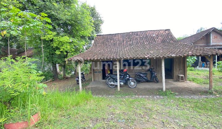 For Rent: 3-Front Road Land in Tanon, Sragen