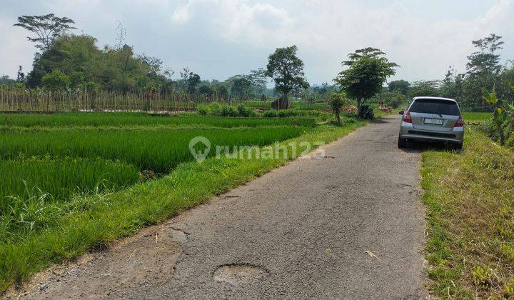 Tanah Sawah Pinggir Jalan Karangpandan 275 Juta 2