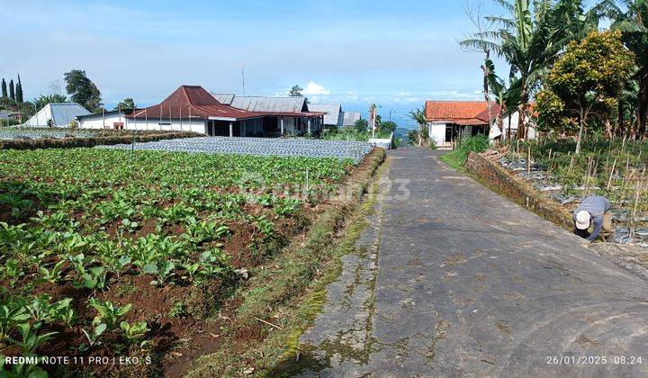 Tanah segoro gunung kemuning  2