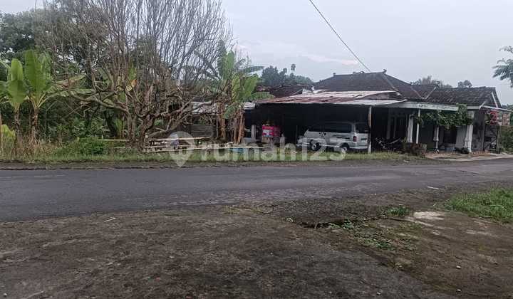 Karangpandan Roadside Yard Karangpandan Roadside Yard