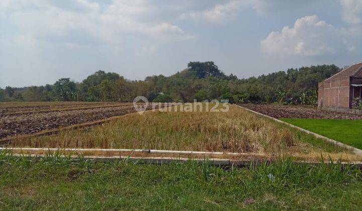 Sawah Kebakkramat 525 Juta  1