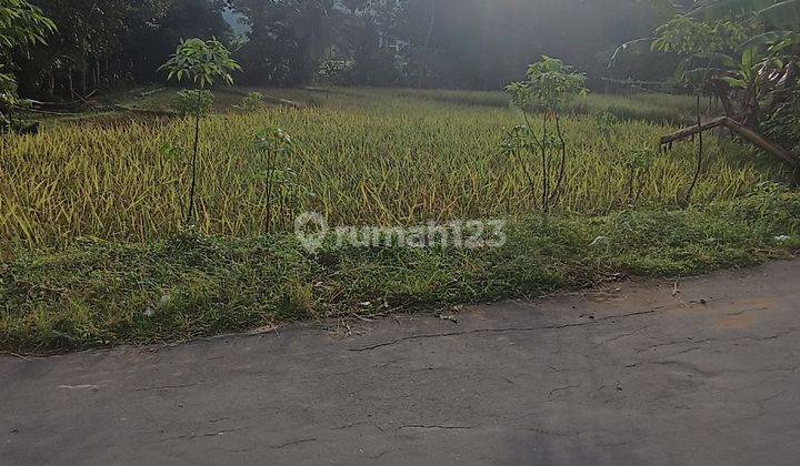 Tanah Sawah Murah Matesih Karanganyar  2