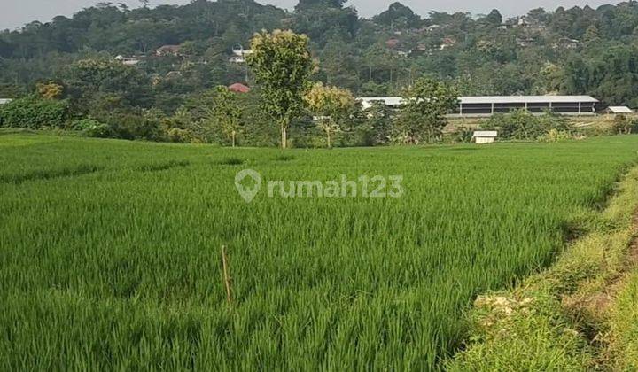 Tanah Datar Dekat Jalan Raya Karangpandan 2