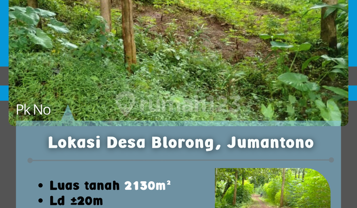 Tanah Desa Blorong Jumantono 250 Juta  1
