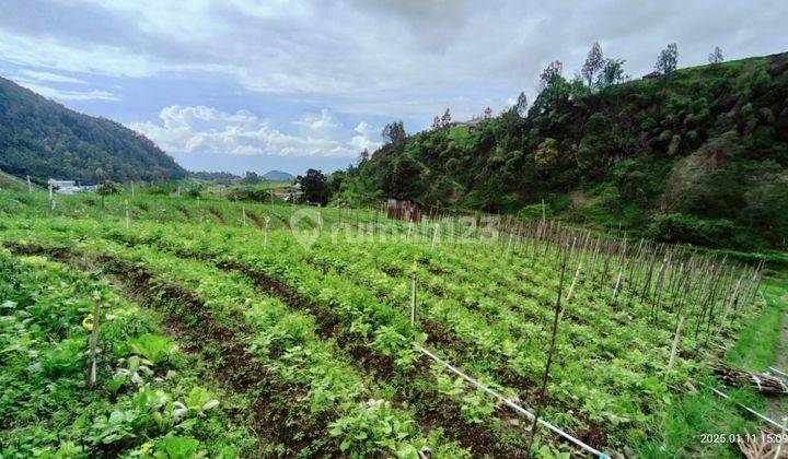 Tanah Pinggir Jalan Raya Tawangmangu 2