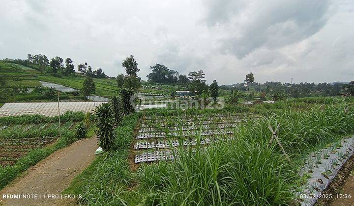 Tanah status sawah kawasan wisata Kemuning 1