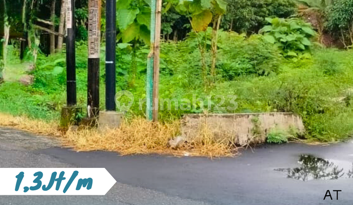 Hook Bejen Roadside Land