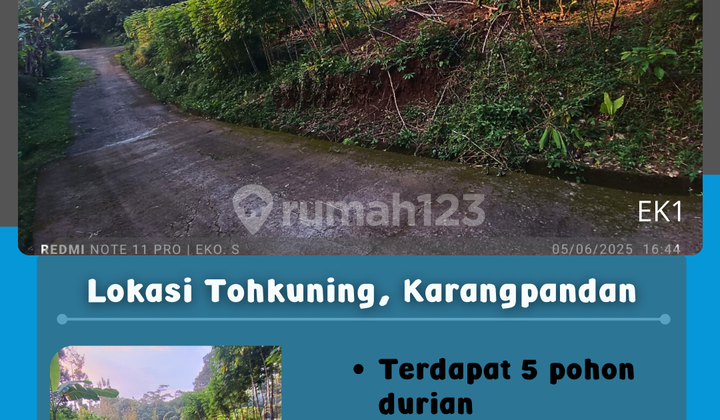 Cheap Land Tohkuning Karangpandan Cheap Land Tohkuning Karangpandan