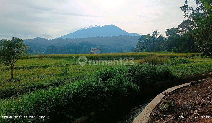 Tanah Sawah Luas Murah Karangpandan Karanganyar  1