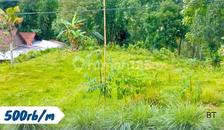 Pekarangan Murah Doyosari Karanganyar